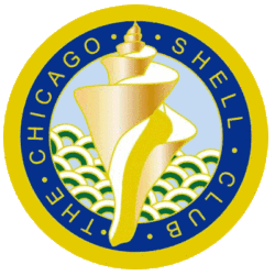 Chicago Shell Club